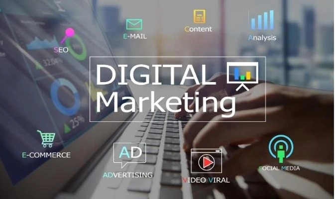 Digital Marketing Courses After 12th