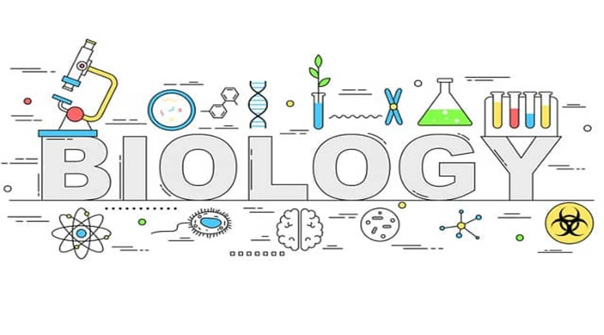CBSE Sample Papers for Class 11th Biology