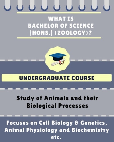 Bachelor of science zoology jobs