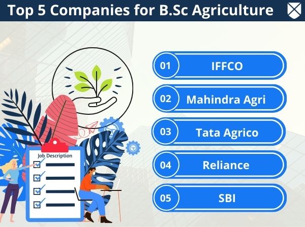 Top B.Sc Agriculture Companies