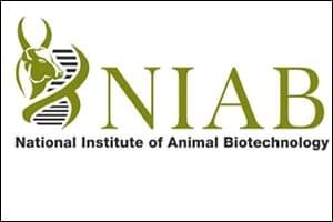 NIAB Logo