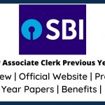 SBI Junior Associate Clerk Previous Year Paper