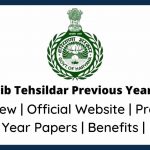 HPSC Naib Tehsildar Previous Year Papers